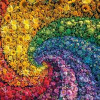 Whirl (1000 bitar) - Image 2