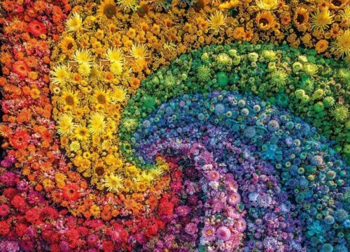 Whirl (1000 bitar) - Image 2