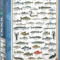 Freshwater fish (1000 bitar)