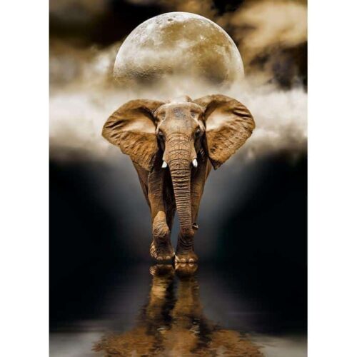 The elephant (1000 bitar) - Image 2