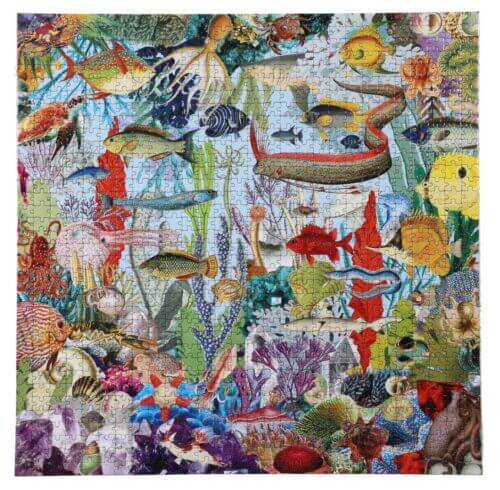 Gems and fish (1000 bita) - Image 2