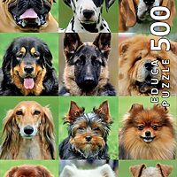 Dogs Collage (500 bita)