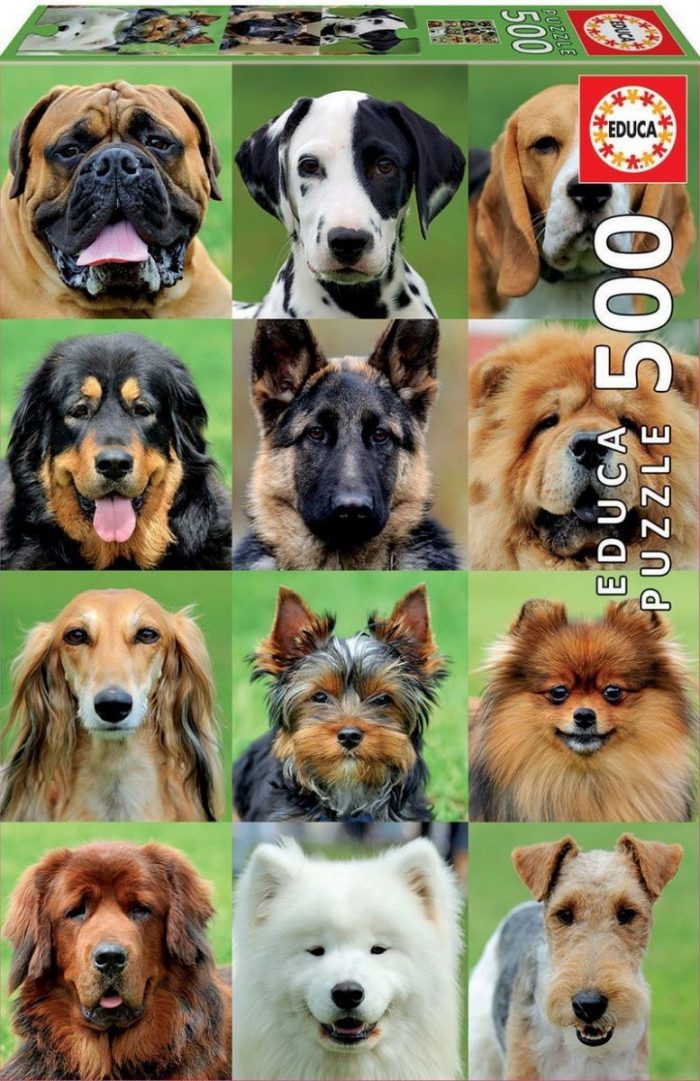 educa dogs collage 500 17963 01 scaled