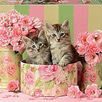 Kittens & roses (500 bita)