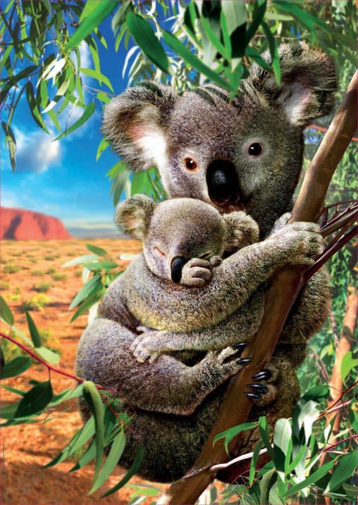 educa koala and cub 500 18999 02 scaled