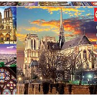 Notre Dame Collage (1000 bita)