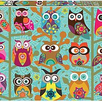 Owls (500 bita)