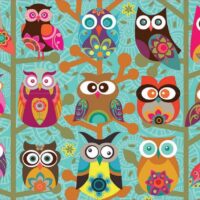 Owls (500 bita) - Image 2