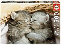 Sweet kittens (500 bita)
