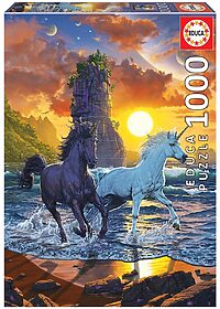 Unicons on the beach (1000 bita)