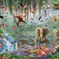 Wild life (33.600 bita) - Image 2