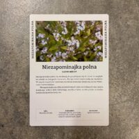 Flóruspilið á pólsku - Image 4