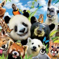 Llama Drama Selfie(1000 bita) - Image 2