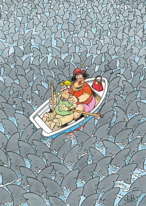 JVH Expert 1: Shark mania (500 bita) - Image 2