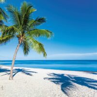 Beach Escape (1000 bita) - Image 2