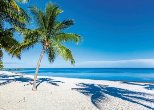 Beach Escape (1000 bita) - Image 2
