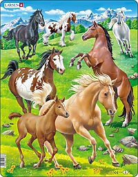 Horses in a mountain field