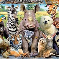It's a class photo (300 bita)