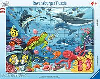 Underwater friends (30 bita)