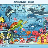 Underwater friends (30 bita)