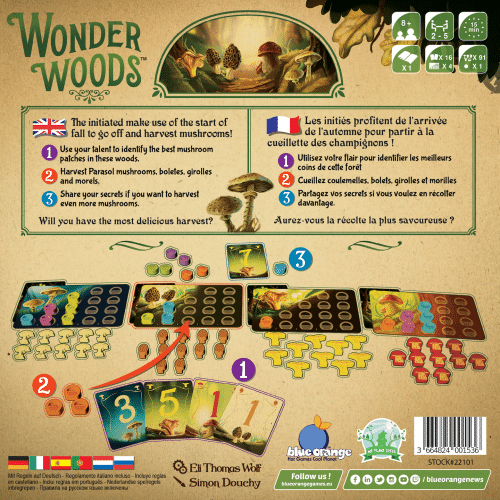wonder woods 02