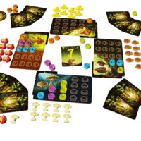 Wonder Woods - Image 3