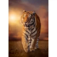 Tiger (1500 bita) - Image 2