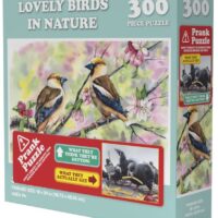 Doing Things: Birds Prank (300 bita)