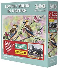 Doing Things: Birds Prank (300 bita)