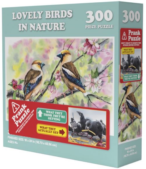 doing things birds prank puzzle 300 01