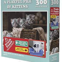 Doing Things: Cats Prank (300 bita)
