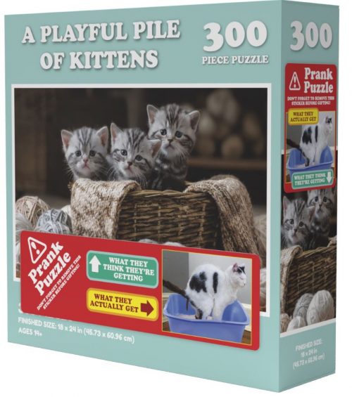 doing things cats prank puzzle 300 01