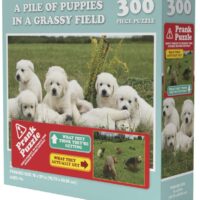 Doing Things: Puppies Prank (300 bita)