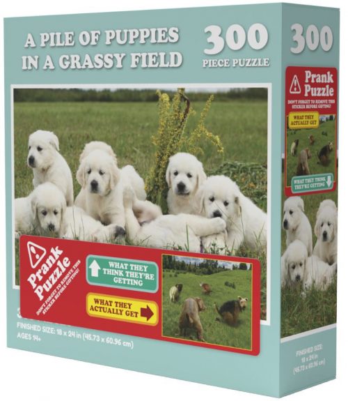 doing things puppies prank puzzle 300 01