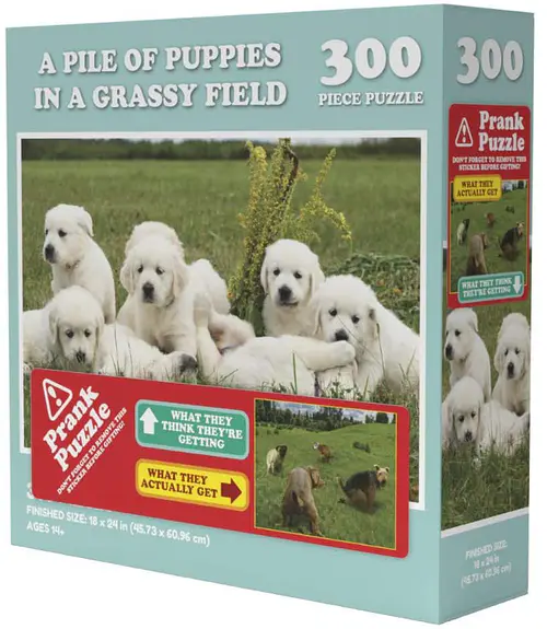 Doing Things: Puppies Prank (300 bita)