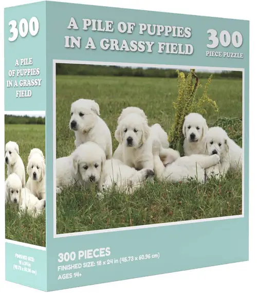 Doing Things: Puppies Prank (300 bita) - Image 2