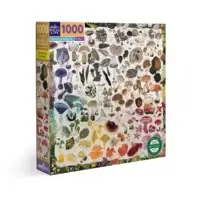 Mushroom rainbow (1000 bita)
