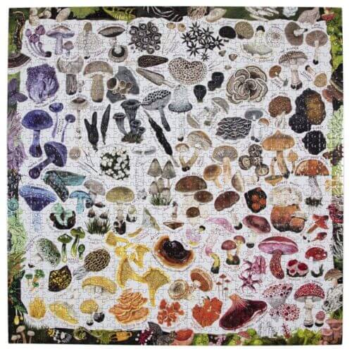 Mushroom rainbow (1000 bita) - Image 2