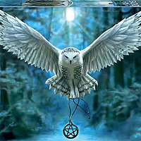 Awake your magic (500 bita)