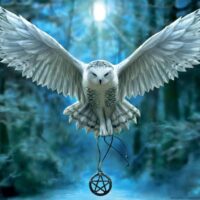Awake your magic (500 bita) - Image 2