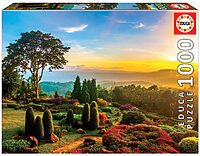 Beautiful garden (1000 bita)