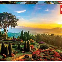 Beautiful garden (1000 bita)