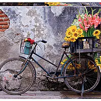 Bicycle with flowers (500 bita)