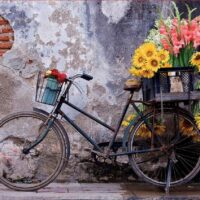 Bicycle with flowers (500 bita) - Image 2