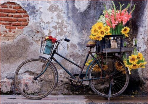 Bicycle with flowers (500 bita) - Image 2