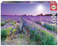 Bike in lavender field (1000 bita)