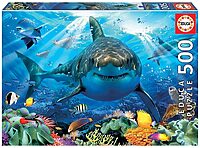 Great white shark (500 bita)