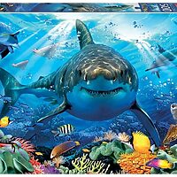 Great white shark (500 bita)