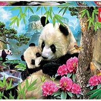 Morning panda (1000 bita)