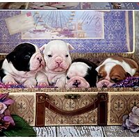 Puppies (500 bita)